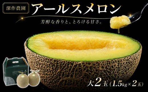 アールスメロン 大 2玉（約1.5kg×2玉） メロン めろん 贈答用 ギフト 青肉 フルーツ 果物 甘み プレゼント 国産 茨城県 鉾田市 深作農園