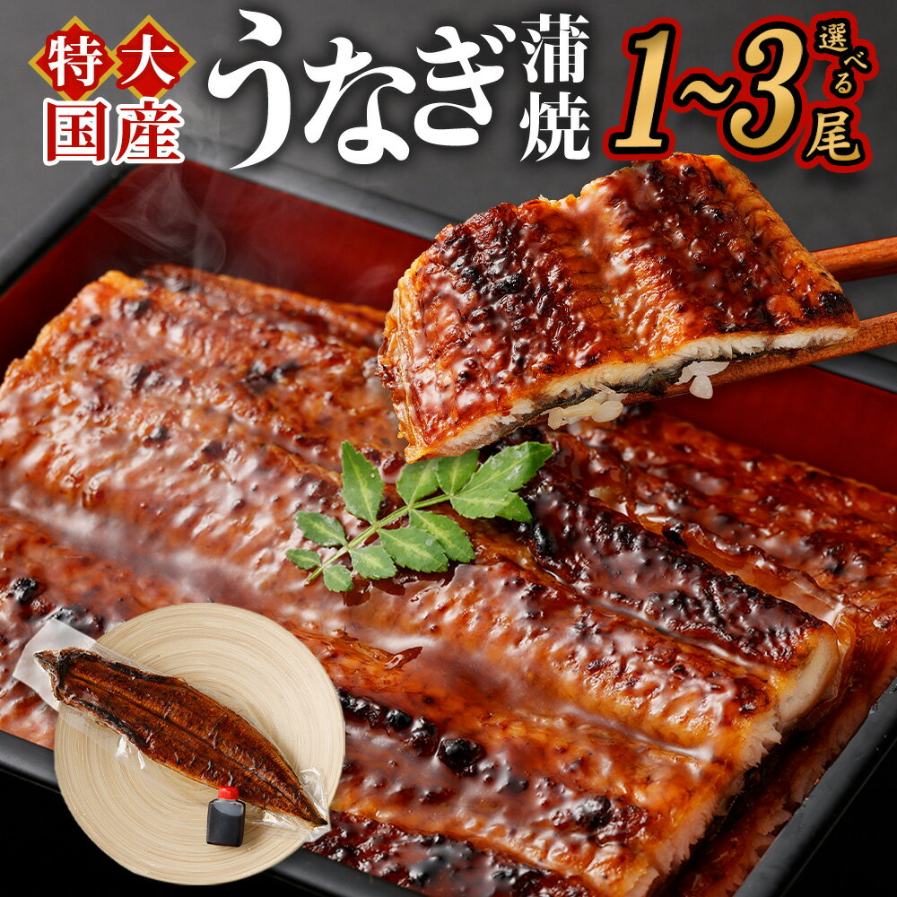 【ふるさと納税】国産 うなぎ蒲焼と 特製タレ セット＜選べる 内容量 / 配送月 ＞＜1尾 / 2尾 / 3尾＞｜うなぎ 鰻 人気 国産 蒲焼 蒲焼き タレ付き ひつまぶし 高級 冷凍 ギフト 贈り物 贈答用 送料無料 大阪府 阪南市