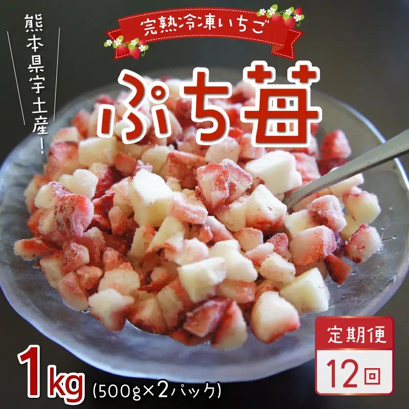 【先行受付】園村苺園　完熟冷凍いちご「ぷち苺」1kg（500g×2パック）【定期便 12回】_U74-T019_12