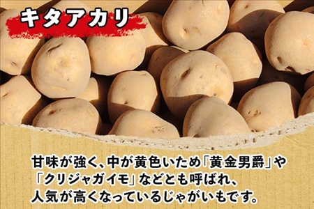 【10月より順次発送予定】北海道 じゃがいも キタアカリ 10kg 北海道産 十勝産 きたあかり 北あかり ジャガイモ 芋 いも ポテト お取り寄せ まとめ買い 送料無料 十勝 士幌町【V04】