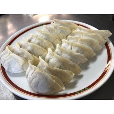 ふるさと納税 桐生市 タレなしでも美味しい!ラーメン屋さんの【うんめぇ肉野菜餃子】22g36個入　添加物・保存料不使用　 |  | 01