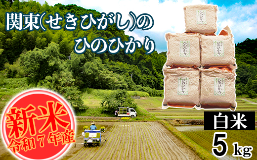 【令和7年産】関東(せきひがし)のひのひかり 白米 5kg 真空 パック 熊本県 南関町産 単一原料米 ヒノヒカリ 産地直送 お米