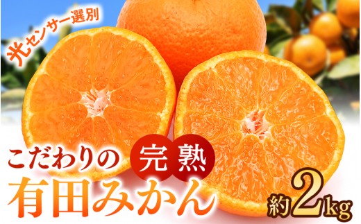 ご家庭用 こだわりの 有田 みかん 2kg 【12月発送予定】 / 温州みかん 光センサー選別 柑橘 甘い 果物 和歌山 ※北海道・沖縄・離島配送不可【nuk004-c-2-decH】