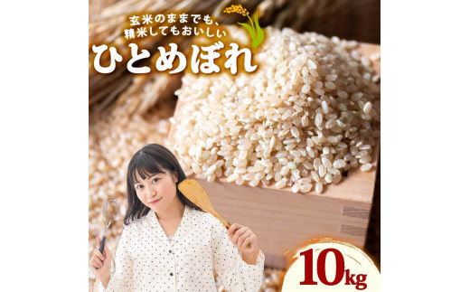 米 ひとめぼれ 新米 玄米 10kg お米 健康 ダイエット 米 日常 食卓 家庭用 ヒトメボレ 静岡県 牧之原市 もちもち あまい 食物繊維 ごはん 大石農園 静岡県 牧之原市