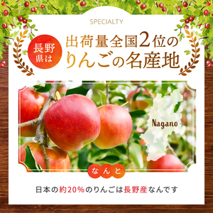 太陽の光をたっぷりと浴びた 長野県産りんご ( サンふじ ) 約10kg 秀品＜2025年11月下旬～12月中旬発送＞ | 果物 くだもの フルーツ サンふじ サンフジ りんご リンゴ 林檎 長野県 