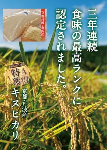 【定期便】令和5年産 米 10kg 12ヶ月 京都丹波産 キヌヒカリ 白米＜JA京都 たわわ朝霧＞ 12回定期便 10kg（5kg×2袋）×12回 計120kg 毎月発送に合わせて精米≪緊急支援品 ふ