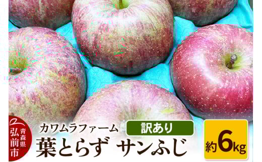 りんご【先行受付】葉とらず サンふじ 約6kg カワムラファーム 訳あり