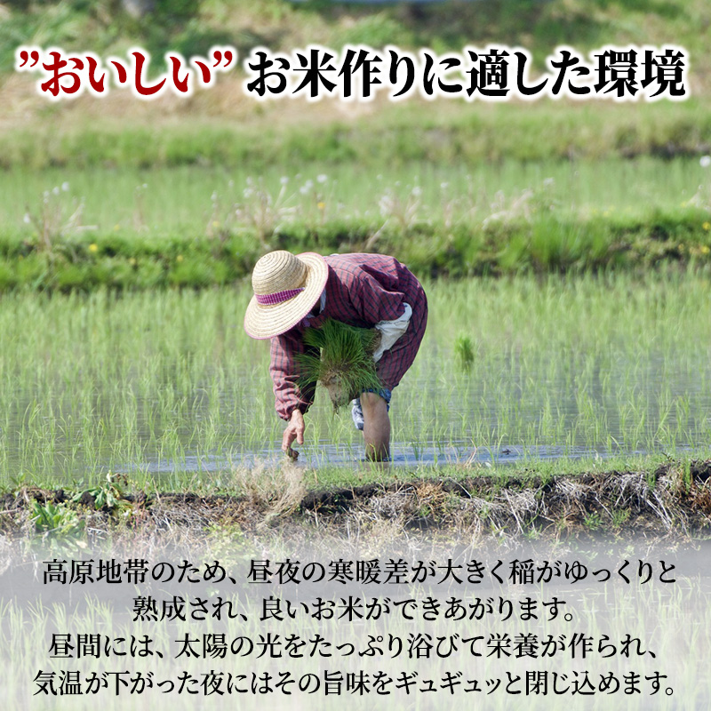 米 令和6年産　広島県安芸高田市産コシヒカリ6kg