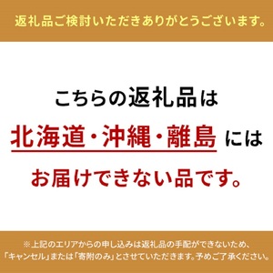 シャインマスカット 晴王 特選 岡山県産 シャインマスカット【1房 約700g】【先行予約】