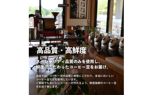 0033-119-02 Mifujiya Coffee オリジナルブレンド 粉 中挽き 450g×3種セット