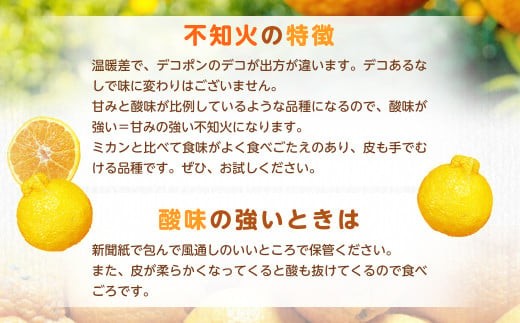 【規格外品】不知火 (デコポンと同品種) ご家庭用 10kg サイズ不選別