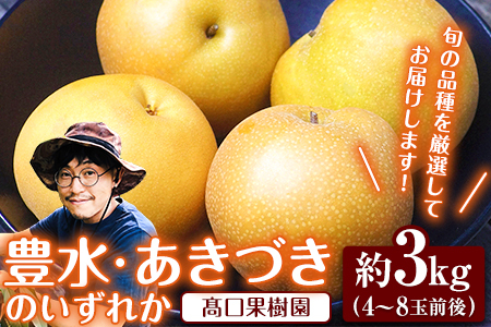 【2026年 先行予約】旬の梨 あきづき 豊水 のいずれかをお届けします！ 荒尾梨 約3kg (4～8玉前後) 熊本県荒尾市産 髙口果樹園《2026年9月上旬-9月下旬頃出荷》フルーツ 果物  美味しい梨 旬の梨 ジューシー梨 フルーツ梨