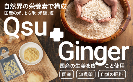 QsuGinger KN098-007 調味料 加工食品 シロップ