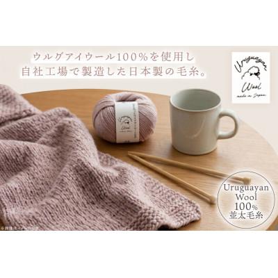 ふるさと納税 江南市 毛糸4玉で編めるスリットネックウォーマーキット 5番色 |  | 01