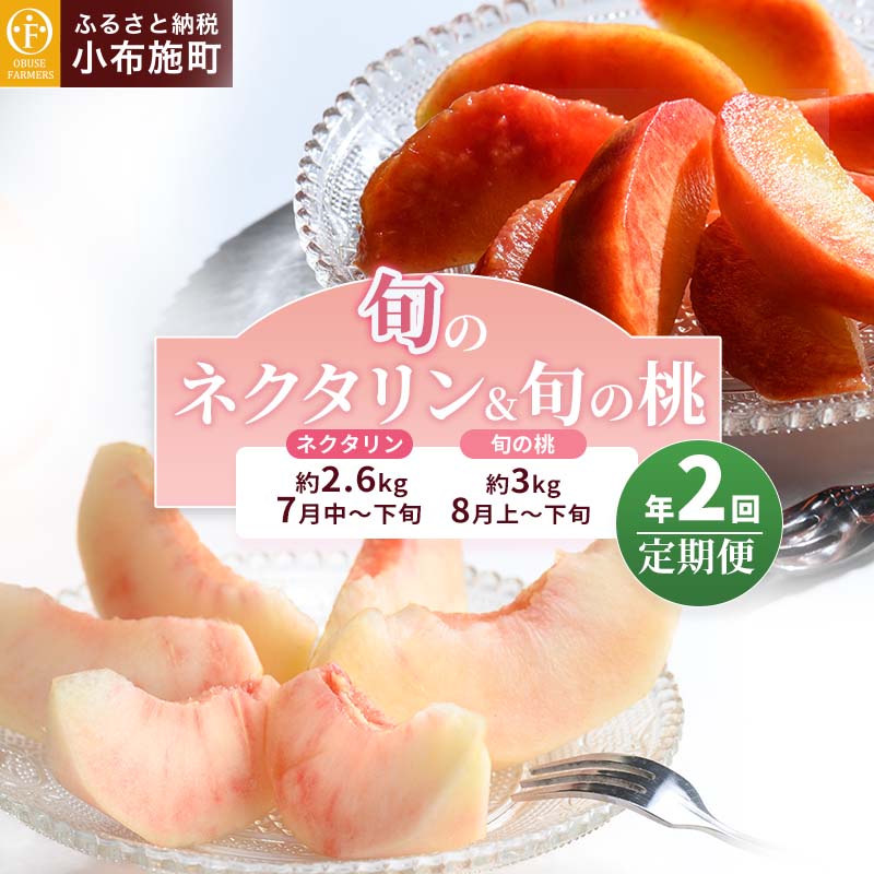 【ふるさと納税】[2回定期便] 旬のネクタリン＆旬の桃 約2.6～3kg 食べ比べ 年2回定期便 ［おぶせファーマーズ］ネクタリン 白桃 旬の桃 フルーツ 果物 冷蔵便 クール便 長野県産 信州産 小布施 令和8年産【2026年7月中旬～8月下旬発送】