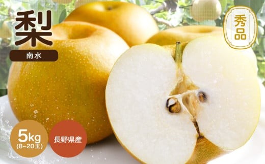 ジューシー で 甘い 梨 ! 長野県産 なし 南水 約5kg 秀品 〈2026年9月中旬～10月中旬発送〉 | 果物 くだもの フルーツ 梨 なし 南水 長野県 信州 南信州 飯田市