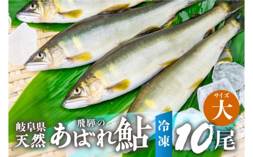 ＜8月から寄附額改定＞《先行予約》＜8月から寄附額改定＞2026年産 飛騨 天然鮎 大サイズ 10尾 天然 アユ 鮎 岐阜県 室田名人 宮川下流 飛騨のあばれ鮎 高級料亭御用達 急速冷凍 冷凍 あゆ 魚 天然 川魚  50000円 5万円