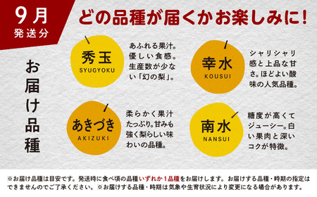 梨 10kg 採れたて あきた梨 24?36玉前後 【加賀谷農園】
