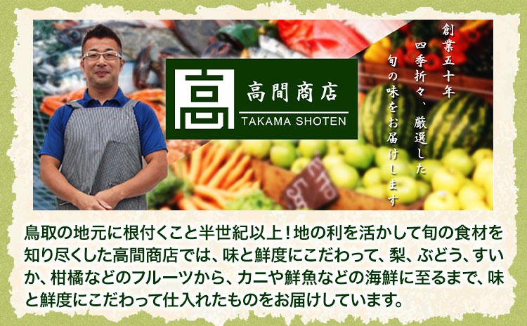 【先行予約】なし 梨 プレミアム 新甘泉 約3kg (4〜10玉) 高間商店《2025年8月下旬-10月上旬頃出荷》 鳥取県 八頭町 梨 なし ナシ 果物 フルーツ 厳選 先行予約 送料無料 甘い 果