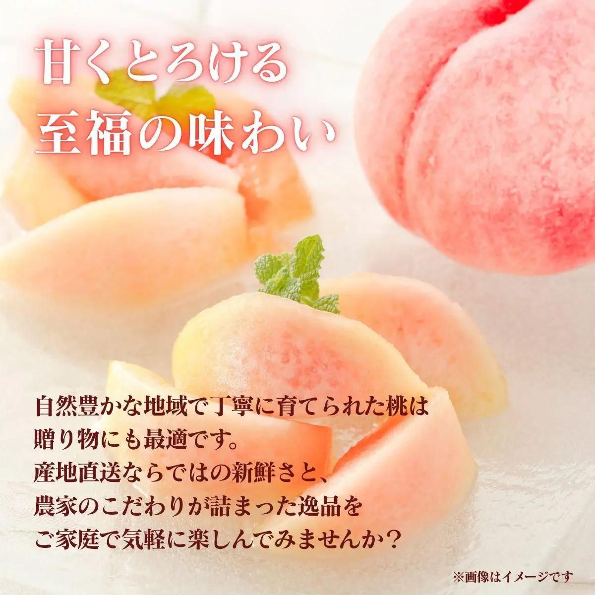 【2026年先行予約】＜数量限定＞岡山県産 厳選旬の桃 約2kg（6玉～9玉）【037-a001】
