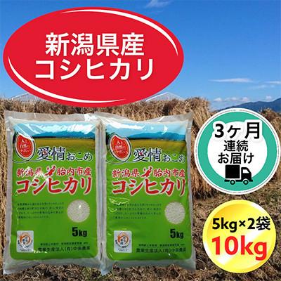 ふるさと納税 胎内市 【毎月定期便】【3ヶ月連続お届け】新潟県胎内市産コシヒカリ 精米 10kg(5kg×2袋)全3回