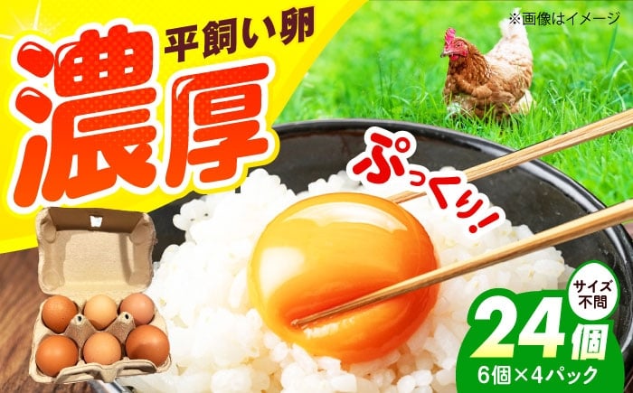 
            平飼い卵 24個セット たまご 卵 鶏卵 玉子 平飼い タマゴ 新鮮 大阪府高槻市/ベジ彩ファーム [AOEJ003]
          