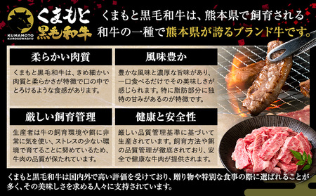 黒毛和牛 切り落とし 上 カルビ 焼肉 600g 牛肉