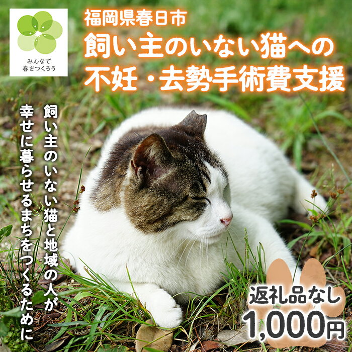 【ふるさと納税】飼い主のいないねこと地域の人が幸せに暮らせるまちづくり支援 (返礼品なし) 猫 ねこ 地域猫 支援 TNR活動 去勢 【ksgsn02】【福岡県春日市】
