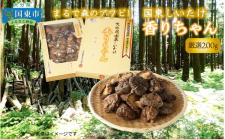 まるで森のアワビ！国東しいたけ香りちゃん（厳選200g）・通_29253A