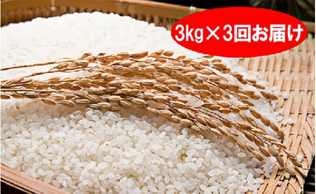 
特別栽培米「彩のきずな」白米9kg（3kg×3回のお届け）
