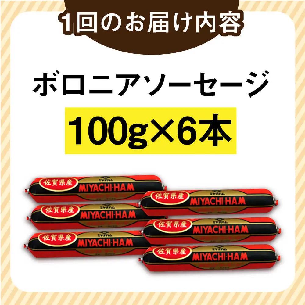 【3回定期便】宮地ハムのロングセラー ボロニアソーセージ 100g×6本 /宮地ハム [UBM011] ソーセージ