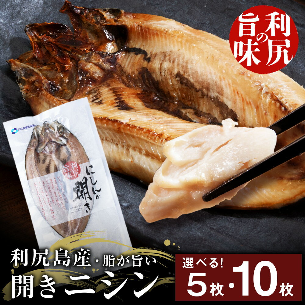 【ふるさと納税】 利尻島産 開きニシン 選べる5枚〜10枚 ＜利尻漁業協同組合＞魚 開き にしん 鰊 パック 小分け 北海道ふるさと納税 利尻富士町 ふるさと納税 北海道
