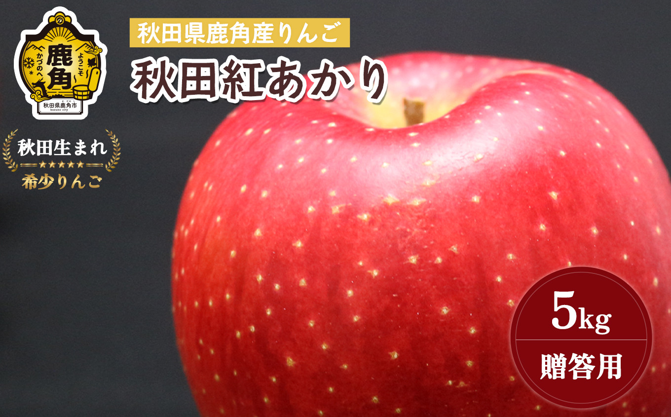 
            《 先行予約 》秋田県鹿角産りんご 雪国育ちの 贈答用「秋田紅あかり」5kg（13～18玉入）【山麓園】●2025年11月上旬発送開始 鹿角りんご 食感 果汁 リンゴ 完熟 旬 県産 りんご お中元 お歳暮 贈り物 グルメ ギフト 故郷 秋田 あきた 鹿角市 鹿角 送料無料 【山麓園】
          