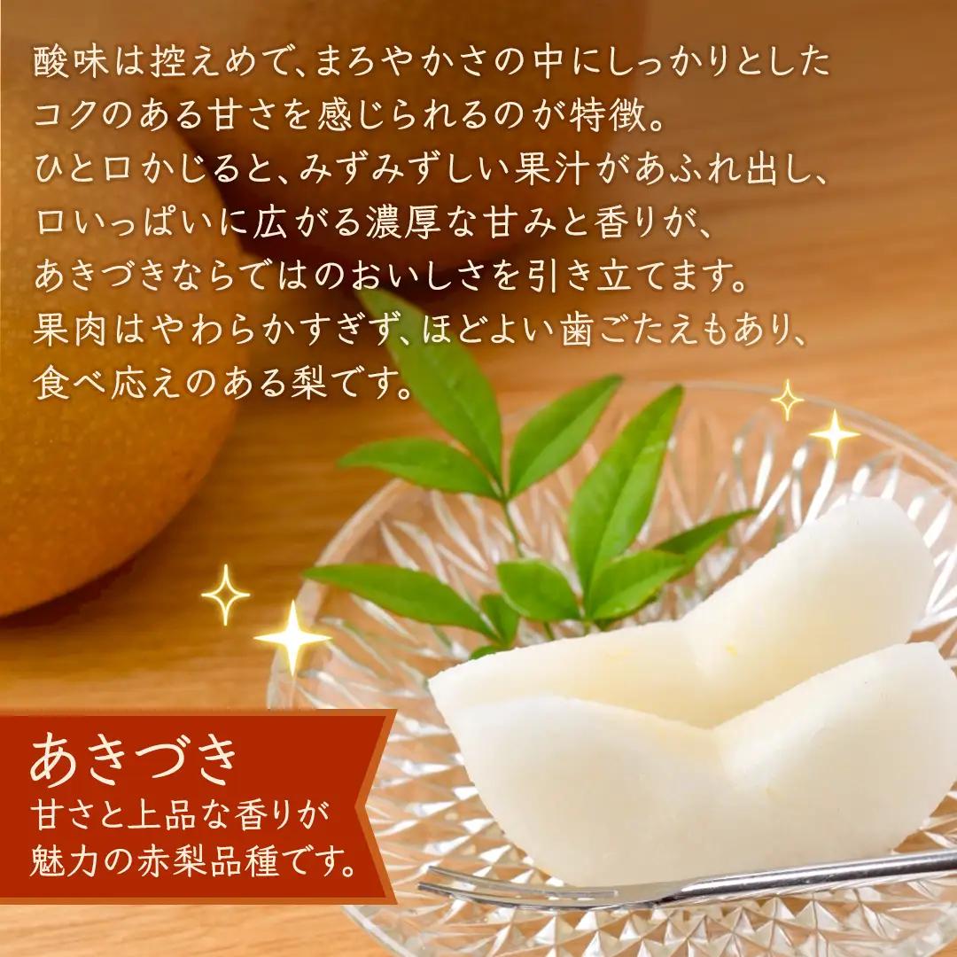 あきづき 梨 約3kg 【2026年10月より発送開始】（茨城県共通返礼品 [梨]：大子町産） 