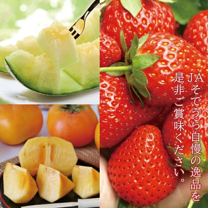 SD0137　【3回定期便】自然の恵み　春・夏・秋フルーツ定期便2025 (いちご、青肉メロン、柿)