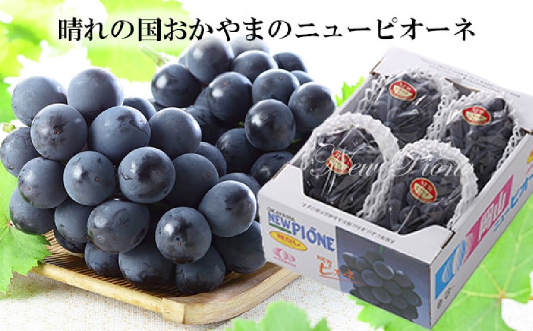 岡山県産ニューピオーネ 約2kg