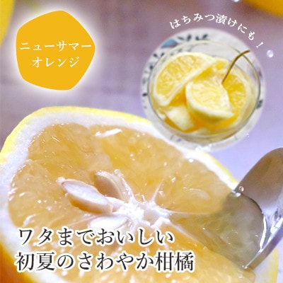 ワタまでおいしい!愛媛県八幡浜市産 ニューサマーオレンジ 3kg【C25−212】【1612591】