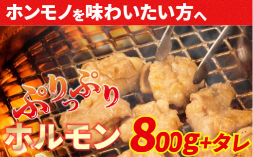 
大人気焼肉屋さんのご家庭で簡単！モツ焼き肉セット800g　Amu-02 もつ 国産 焼肉 国産ホルモン 牛 肉 国産牛 ほるもん 牛ホルモン もつ鍋
