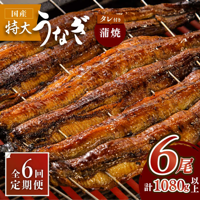 【6回定期便】板前こだわりの国産うなぎ蒲焼 6枚セット×6回【丸安】 [FAD015]