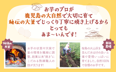 おいもや あま～い 冷凍 焼き芋 食べ比べ セット（ 計800g ） KN091-005 芋 さつま芋 サツマイモ さつまいも 甘い アイス アイス芋 おやつ ふるさと納税 鹿児島 鹿屋市 おすすめ 
