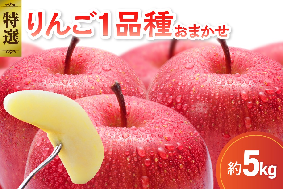 
            【選べる配送時期】 【特選】 旬の美味しい りんご 約5kg 青森産 【おまかせ1品種】
          