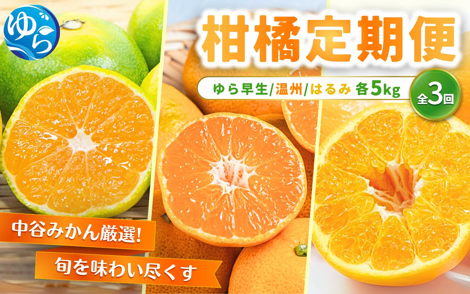 
            【柑橘 定期便】中谷みかん厳選！柑橘定期便全3回（ゆら早生みかん・温州みかん・はるみみかん） / くだもの  果実  柑橘 果物 フルーツ 国産 和歌山県 由良町 人気 おすすめ 柑橘 かんきつ みかん おれんじ オレンジ 早生 ゆら早生 温州 はるみ 由良【nktn-tkb001】
          