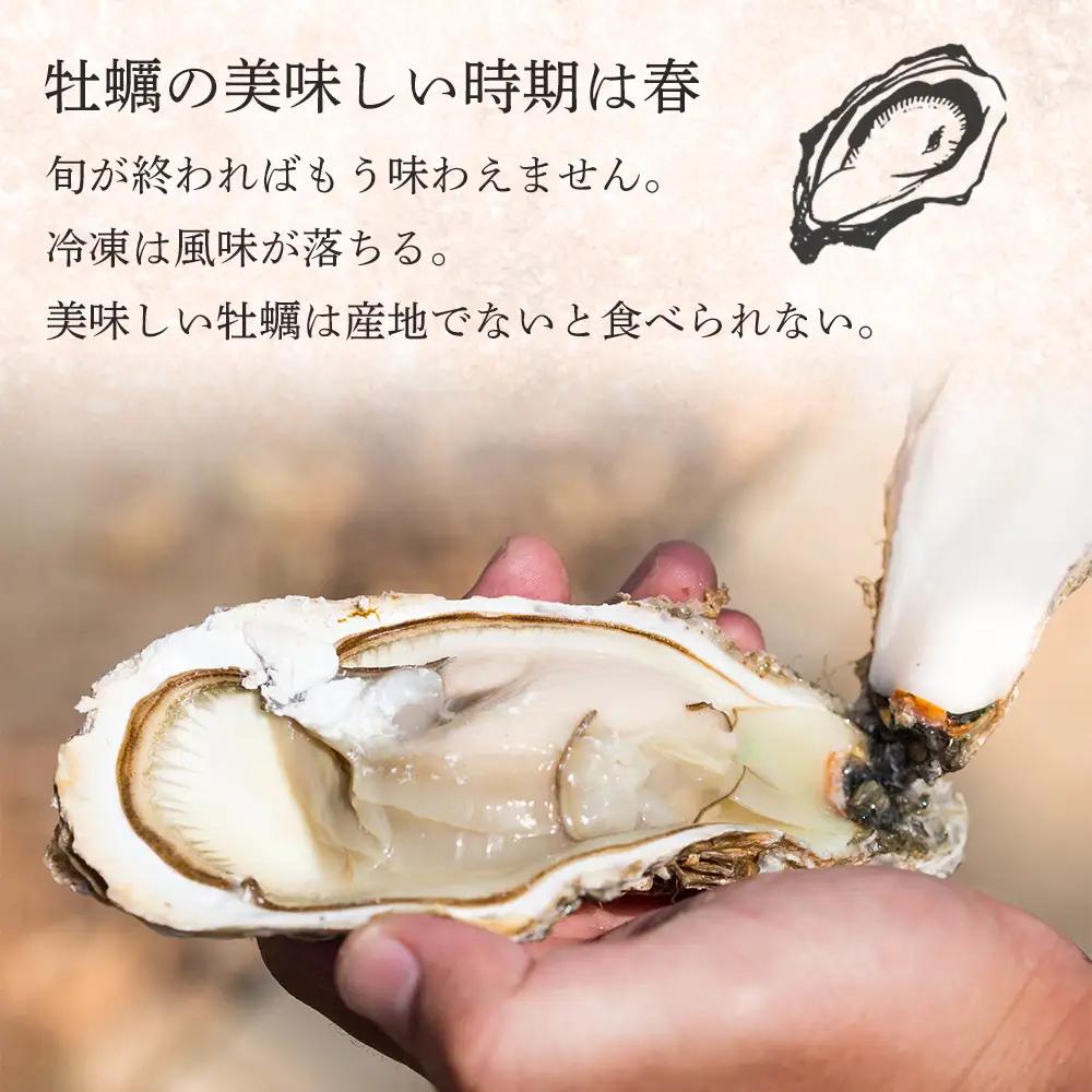 牡蠣の旨煮 缶詰 5個 | 牡蠣缶