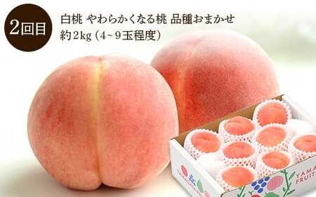 【先行予約 2026年度発送】♪フルーツ王国山形♪ 定期便3回 Dコース FSY-2443