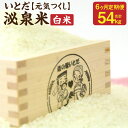 【ふるさと納税】【6ヵ月 定期便】 いとだ泌泉米 白米 9kg (4.5kg×2袋) 総合計54kg 6回 元気つくし ご飯 お米 毎月お届け 九州産 福岡県 糸田町産 送料無料