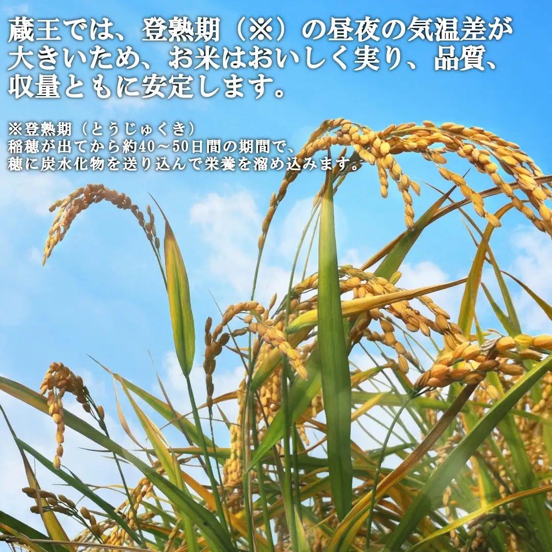 【令和7年産米】蔵王産　我妻の米（つや姫）　精米5kg×2袋 ／ 米 ごはん ご飯 白米 精米 5kg 10kg 2025年産 令和7年産 新米 東北 宮城県産 蔵王産　【04301-0236】