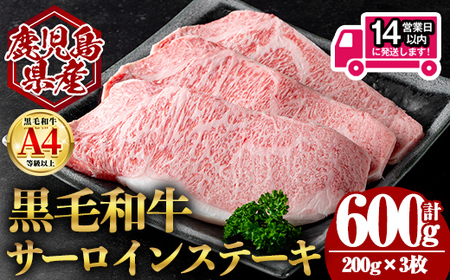 ＜14営業日 以内発送！＞鹿児島県産 黒毛和牛 サーロイン ステーキ (計600g・200g×3) 国産 牛肉【肉のちょーさん】B203