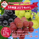 【ふるさと納税】【先行予約】9月特選 ぶどうセットL　1.7kg以上（3～4房）／ 葡萄 クイーンニーナ 品種 おまかせ あわら 農家おすすめ ※2025年9月より順次発送