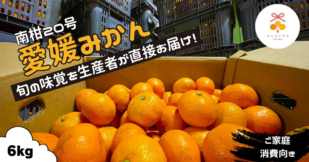 
先行予約 訳あり 愛媛みかん 南柑20号 6kg 7000円 みかん こたつ 冬 蜜柑 果物 柑橘 かんきつ フルーツ 傷 不揃い ゼリー ジュース アイス 果実 果肉 くだもの ビタミンC 健康 美容 産地 農園 直送 国産 期間限定 数量限定 エニシトラス 愛媛県 愛南町 発送期間: 2024年12月上旬～12月末(なくなり次第終了)
