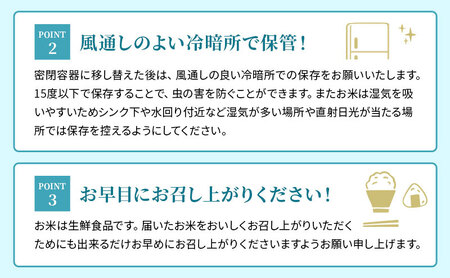 定期便 10kg×3ヶ月 ミルキークイーン 令和7年産 滋賀県豊郷町産 近江米 お米 白米 ごはん ライス 主食 炭水化物 おにぎり 米 定期 3回